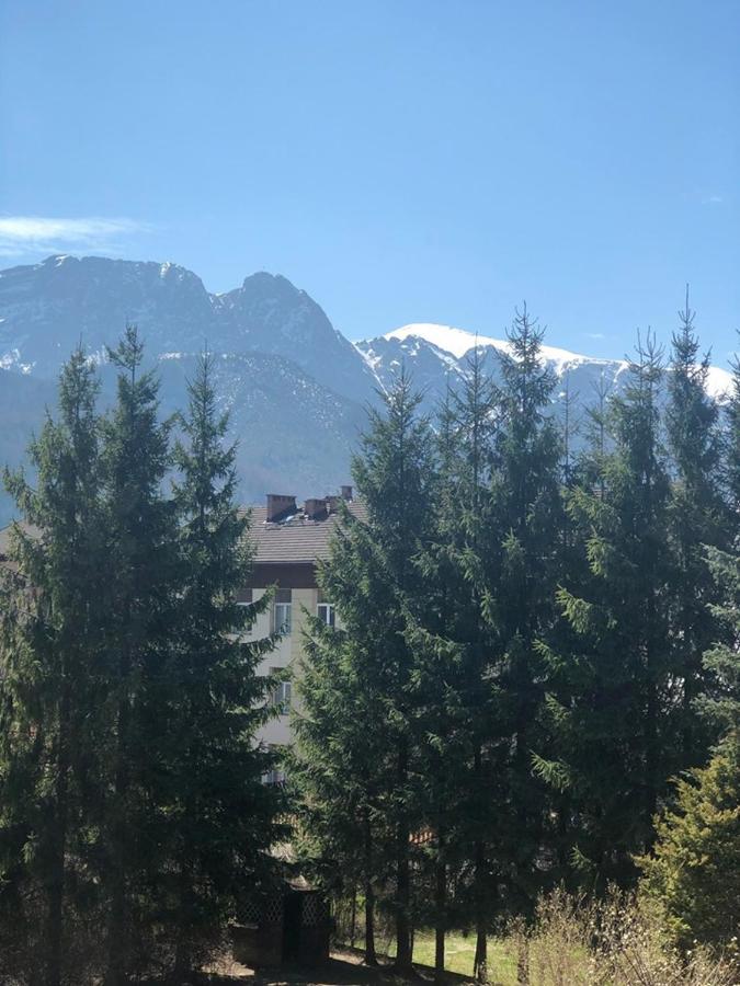 Vektron Apartman Zakopane Kültér fotó